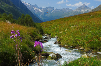 236 Touristen wurden aus dem Waldbrandgebiet in Dombai evakuiert