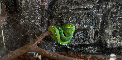 Пхукет и Као Лак: стильные отели, пляжи и экскурсии Пхукет и Као Лак: стильные отели, пляжи и экскурсии