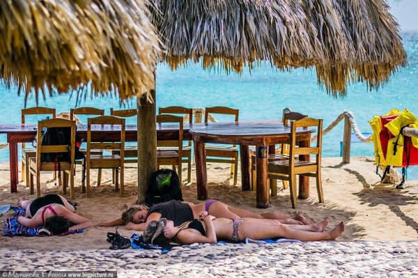 75 фактов про Доминиканскую Республику 75 фактов про Доминиканскую Республику