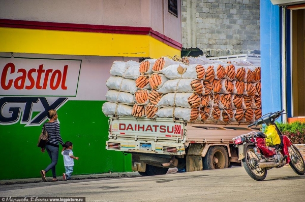75 фактов про Доминиканскую Республику 75 фактов про Доминиканскую Республику