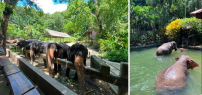 Пхукет и Као Лак: стильные отели, пляжи и экскурсии Пхукет и Као Лак: стильные отели, пляжи и экскурсии