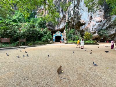 Пхукет и Као Лак: стильные отели, пляжи и экскурсии Пхукет и Као Лак: стильные отели, пляжи и экскурсии