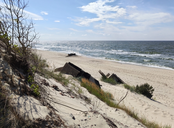 Аренда авто в Калининграде: что посмотреть в Калининградской области за 3 дня Аренда авто в Калининграде: что посмотреть в Калининградской области за 3 дня