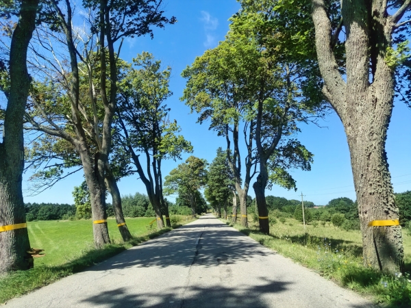 Аренда авто в Калининграде: что посмотреть в Калининградской области за 3 дня Аренда авто в Калининграде: что посмотреть в Калининградской области за 3 дня