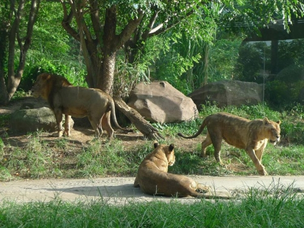 Достопримечательности Бали: Топ-30