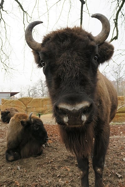 Достопримечательности Базеля: Топ-20