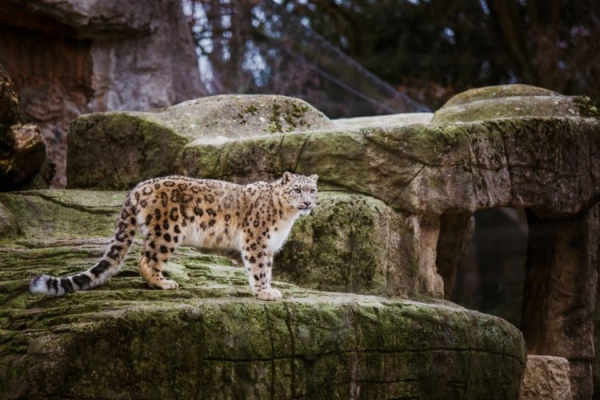 Достопримечательности Базеля: Топ-20