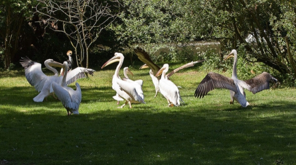 Достопримечательности Берлина: Топ-35