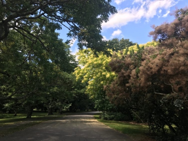 Достопримечательности Бостона: Топ-25