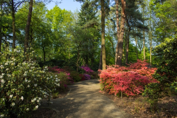 Достопримечательности Бремена: Топ-20