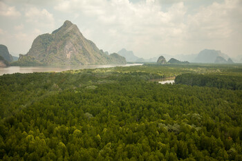 Dwóch Rosjan zginęło w osunięciu ziemi w Phuket