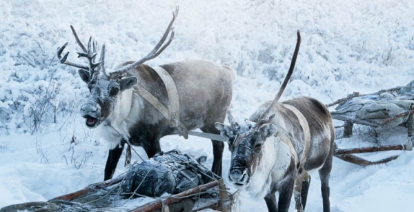 То, да не то: самые известные фейковые достопримечательности То, да не то: самые известные фейковые достопримечательности