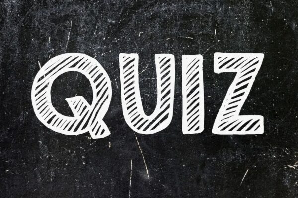 In Moskau findet ein Touristenquiz statt