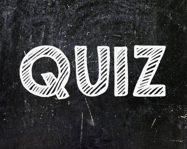 In Moskau findet ein Touristenquiz statt