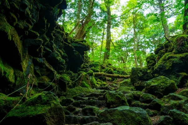 12 самых загадочных мест на планете