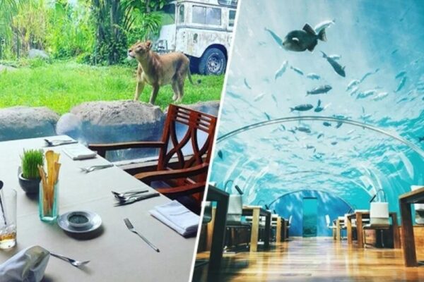 13 Restaurants, die sich an den unerwartetsten Orten befinden