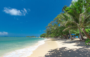 Thailand erwartet im Jahr 2024 fast 2 Millionen Touristen aus Russland