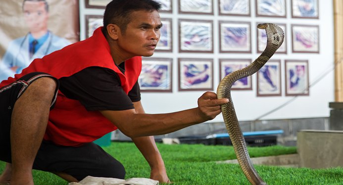 Развлечения на Самуи: чем заняться, куда сходить