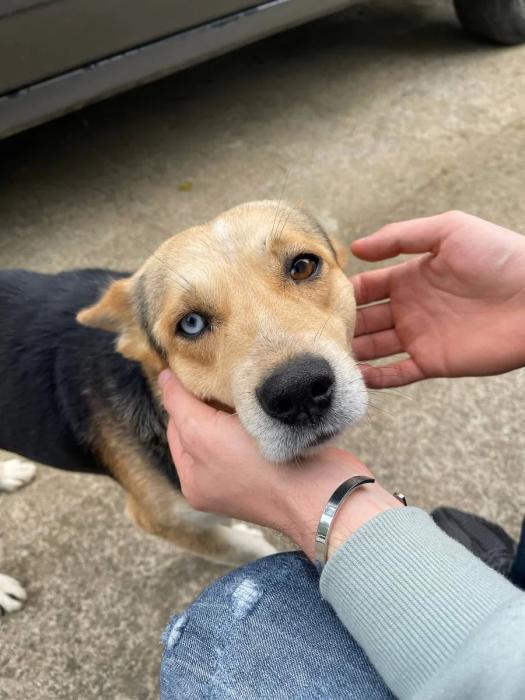 Как живется в Грузии? Интервью о работе, адаптации и ценах на аренду