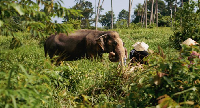 Развлечения на Самуи: чем заняться, куда сходить