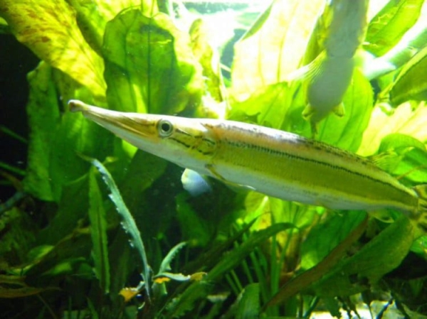 Достопримечательности Вены: Топ-30