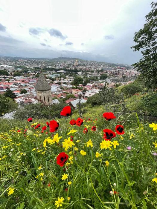 Как живется в Грузии? Интервью о работе, адаптации и ценах на аренду