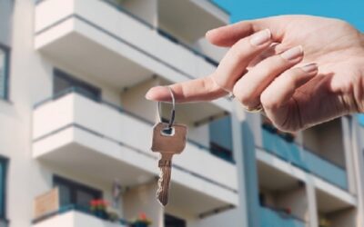 Die Gier des Entwicklers ruinierte